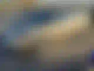 Vehicle Image- 2004 Toyota Corolla