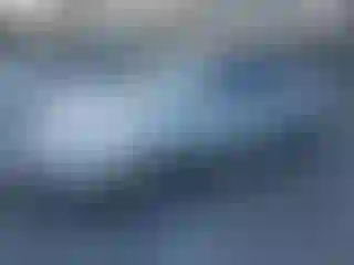 Vehicle Image- 2004 Toyota Corolla