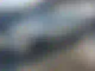Vehicle Image- 2004 Toyota Corolla