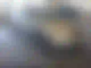 Vehicle Image- 2003 Toyota Corolla