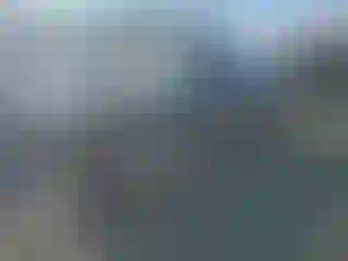 Vehicle Image- 2009 Toyota Corolla