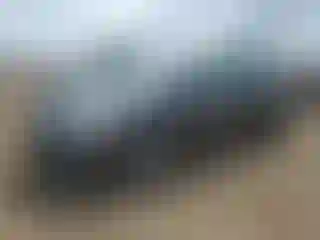 Vehicle Image- 2010 Toyota Corolla