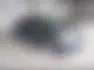 Vehicle Image- 2010 Toyota Corolla