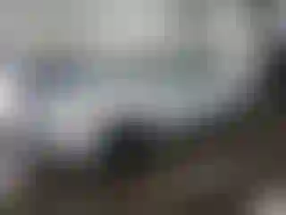 Vehicle Image- 2010 Toyota Corolla