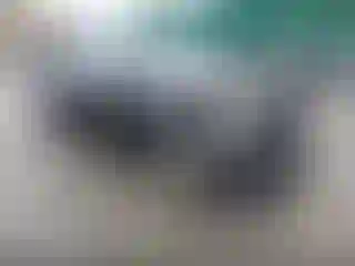 Vehicle Image- 2010 Toyota Corolla