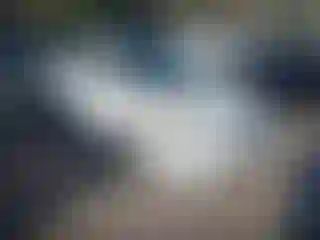 Vehicle Image- 2010 Toyota Corolla