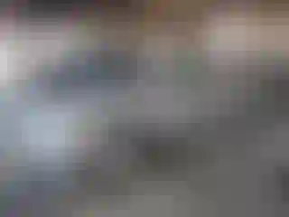 Vehicle Image- 2010 Toyota Corolla