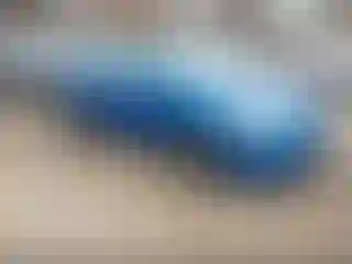 Vehicle Image- 2010 Toyota Corolla