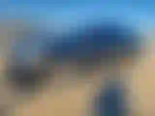 Vehicle Image- 2010 Toyota Corolla