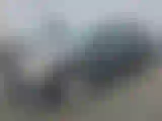 Vehicle Image- 2010 Toyota Corolla