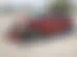 Vehicle Image- 2010 Toyota Corolla