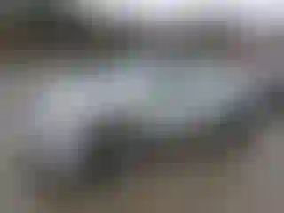 Vehicle Image- 2010 Toyota Corolla