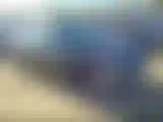 Vehicle Image- 2010 Toyota Corolla