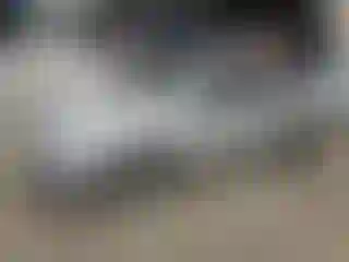 Vehicle Image- 2010 Toyota Corolla