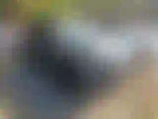 Vehicle Image- 2024 Volkswagen Atlas