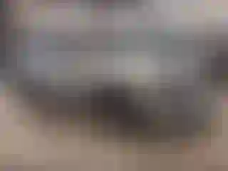 Vehicle Image- 2024 Volkswagen Atlas