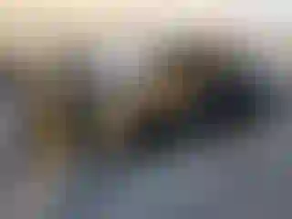 Vehicle Image- 2024 Volkswagen Atlas