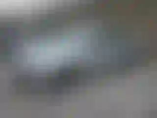 Vehicle Image- 2012 Volkswagen Passat