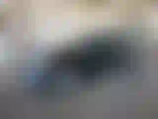 Vehicle Image- 2012 Volkswagen Passat