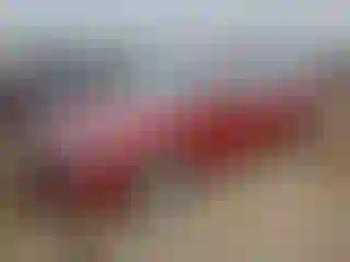 Vehicle Image- 2016 Volkswagen Passat