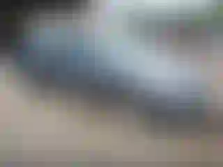 Vehicle Image- 2015 Volkswagen Passat