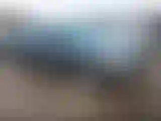 Vehicle Image- 2016 Volkswagen Passat