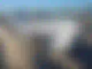 Vehicle Image- 2014 Volkswagen Passat