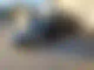 Vehicle Image- 2015 Volkswagen Passat