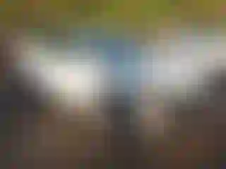 Vehicle Image- 2017 Volkswagen Passat