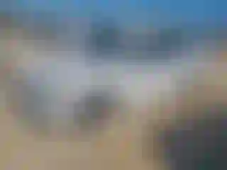 Vehicle Image- 2012 Volkswagen Passat