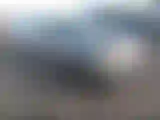 Vehicle Image- 2012 Volkswagen Passat