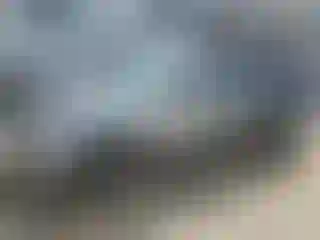 Vehicle Image- 2013 Volkswagen Passat