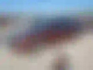 Vehicle Image- 2013 Volkswagen Passat