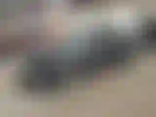 Vehicle Image- 2016 Volkswagen Passat