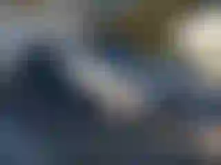 Vehicle Image- 2017 Volkswagen Passat