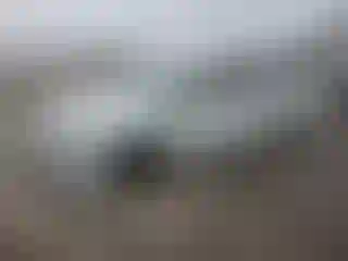 Vehicle Image- 2017 Volkswagen Passat