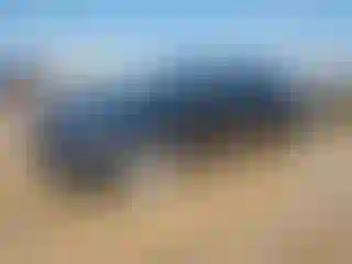 Vehicle Image- 2017 Volkswagen Passat