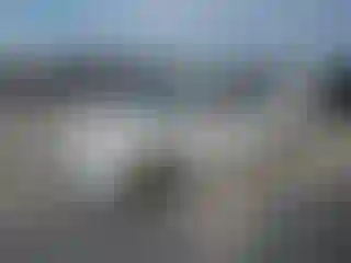 Vehicle Image- 2014 Volkswagen Passat