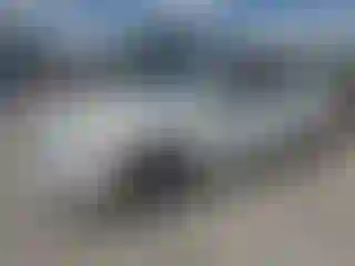 Vehicle Image- 2014 Volkswagen Passat