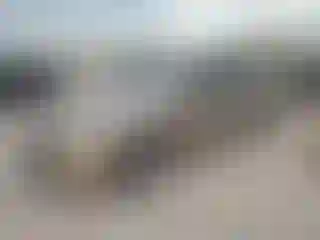 Vehicle Image- 2016 Volkswagen Passat