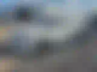 Vehicle Image- 2021 Volkswagen Passat