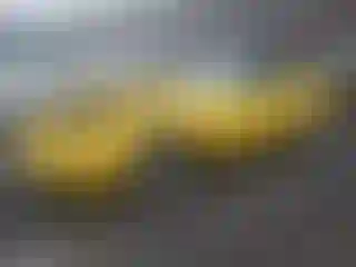 Vehicle Image- 1980 Chevrolet Corvette