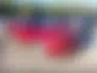 Vehicle Image- 2011 Ford Mustang