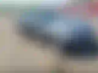 Vehicle Image- 2013 Ford Mustang