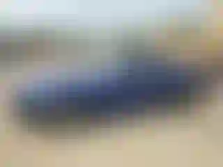 Vehicle Image- 2013 Ford Mustang