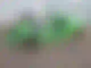 Vehicle Image- 2014 Ford Mustang