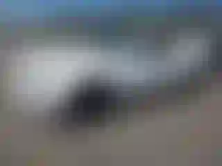 Vehicle Image- 2012 Ford Mustang