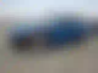 Vehicle Image- 2010 Ford Mustang