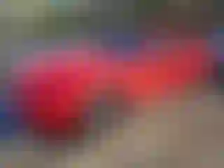 Vehicle Image- 2010 Ford Mustang