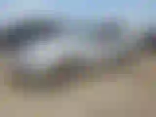 Vehicle Image- 2013 Ford Mustang